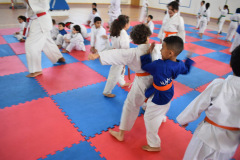IMG-20251116-WA0074