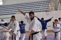 IMG-20251116-WA0078