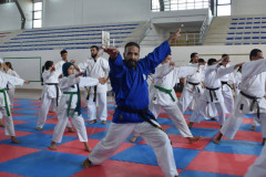 IMG-20251116-WA0085
