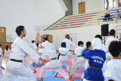 IMG-20251116-WA0087