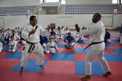 IMG-20251116-WA0101