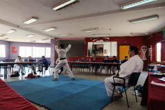 IMG-20260503-WA0017