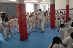 IMG_20250601_124240