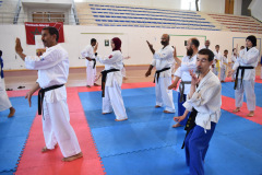 houssine-10