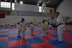IMG-20260118-WA0053