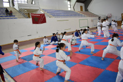 IMG-20260118-WA0134