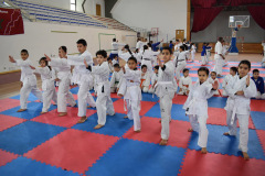 IMG-20260118-WA0141