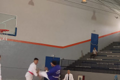 IMG-20250622-WA0011