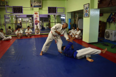 79450662-2d71-4469-8313-ce735341bdfc-Copie