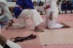 IMG-20241124-WA0011