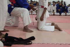 IMG-20241124-WA0146