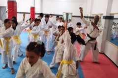 IMG-20260621-WA0087