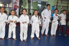 HAFID-3