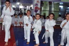 HAFID-4