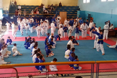 IMG-20241103-WA0011