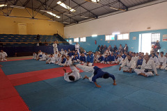 IMG-20241103-WA0051